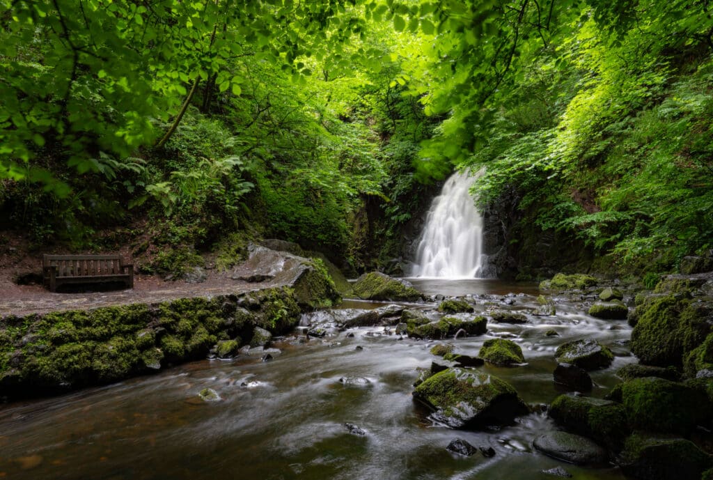 The dreamy scene of the Glenoe Waterfall running through a forest with a bench makes the Glenoe Waterfall one of the best things to do in Northern Ireland.