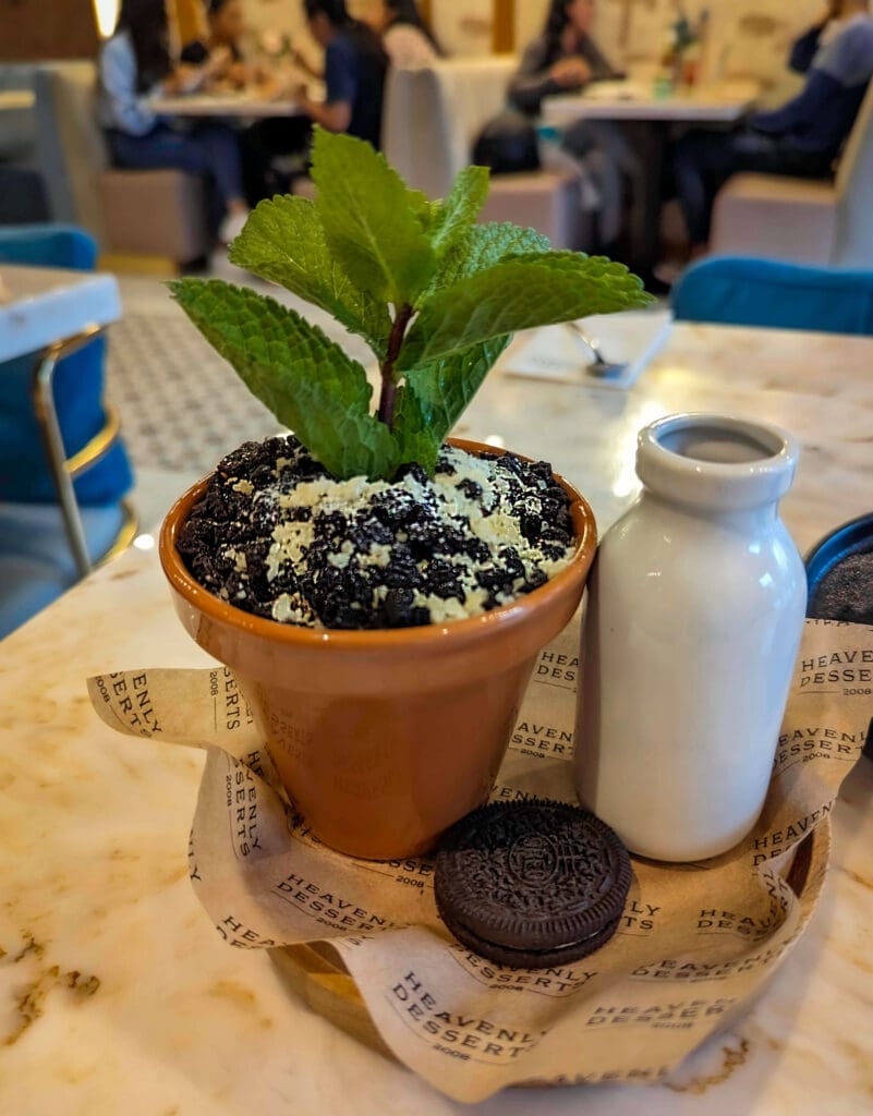 A delicious Oreo cake in a flower pot looking bowl with mint sticking out of the top at the Heavenly Desserts restaurant