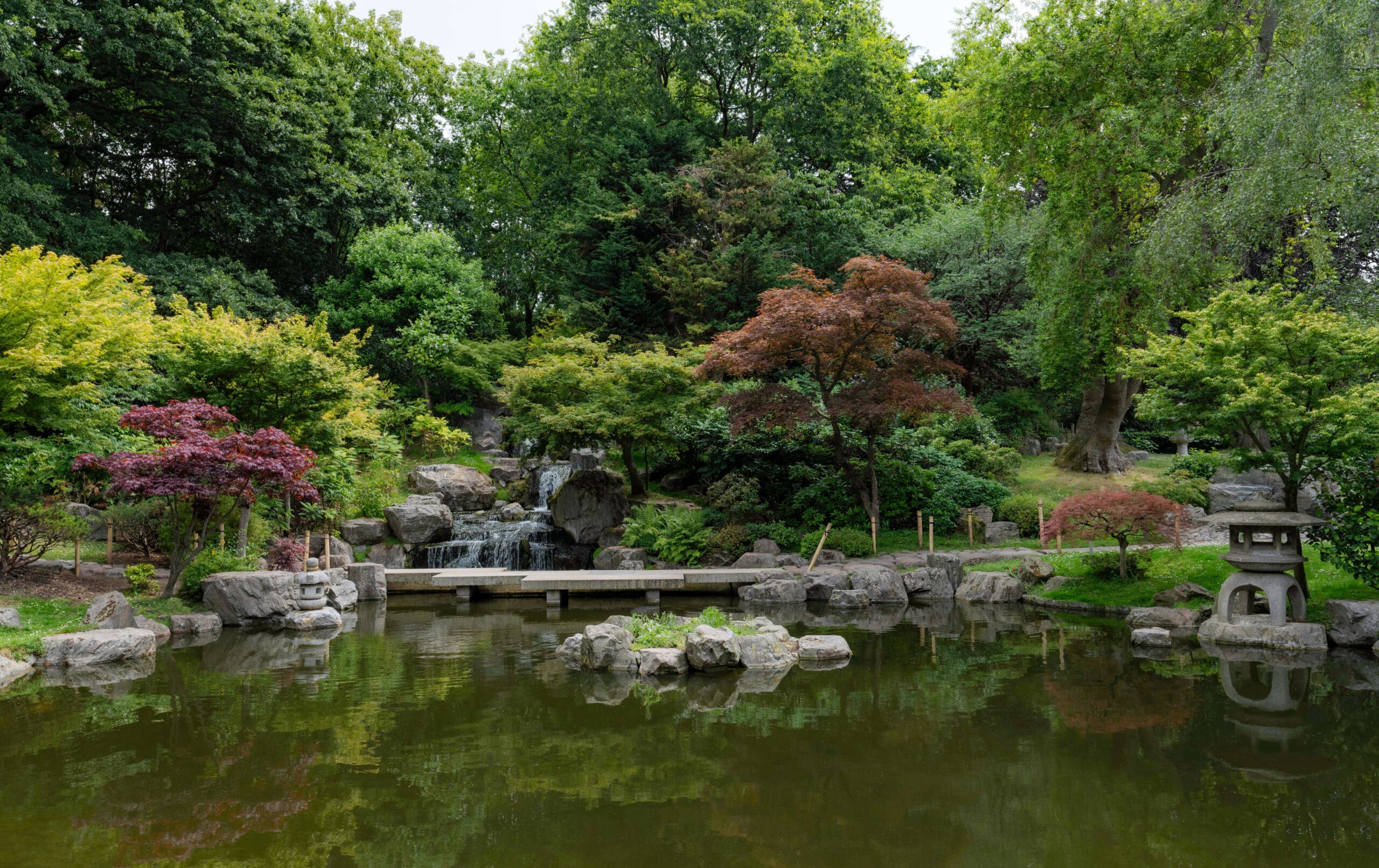 Many lush trees and shrubs surround a calm coy pond at the Japanese Garden in Holland Park