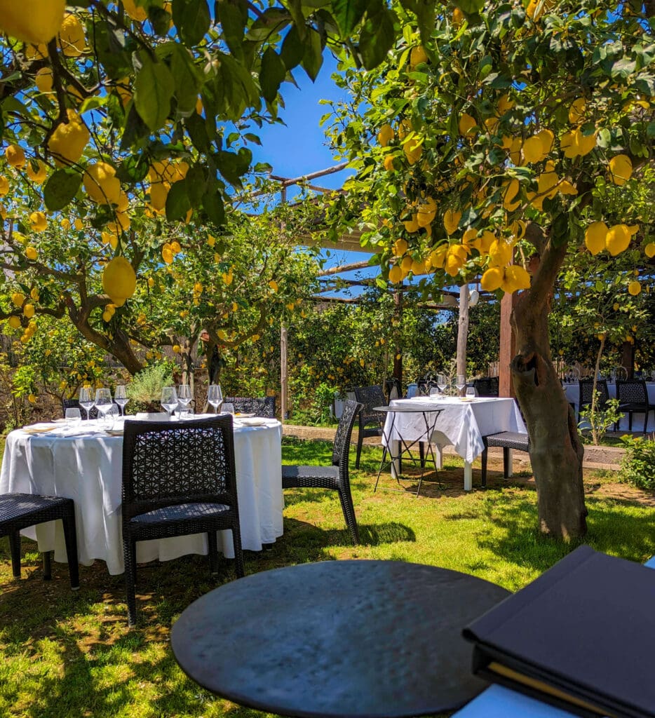 Three white clothed tables sit in the middle of lemon trees packed with hundreds of lemons at La Zagara on Capri