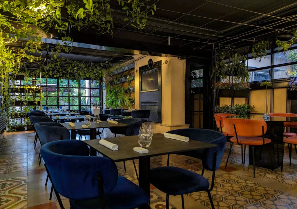 Tables next to vines weaving their way down windows and across the ceiling at Marco Martini the best restaurant in Rome