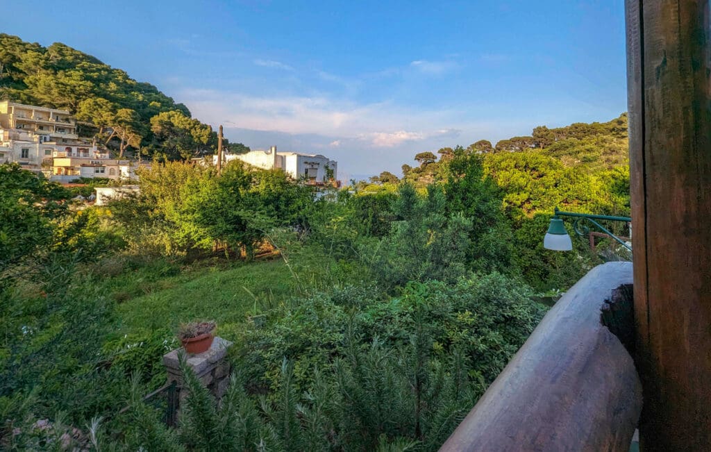 Lush green trees and foliage extending into the distance looking from Ristorante da Tonino the best restaurant in Capri