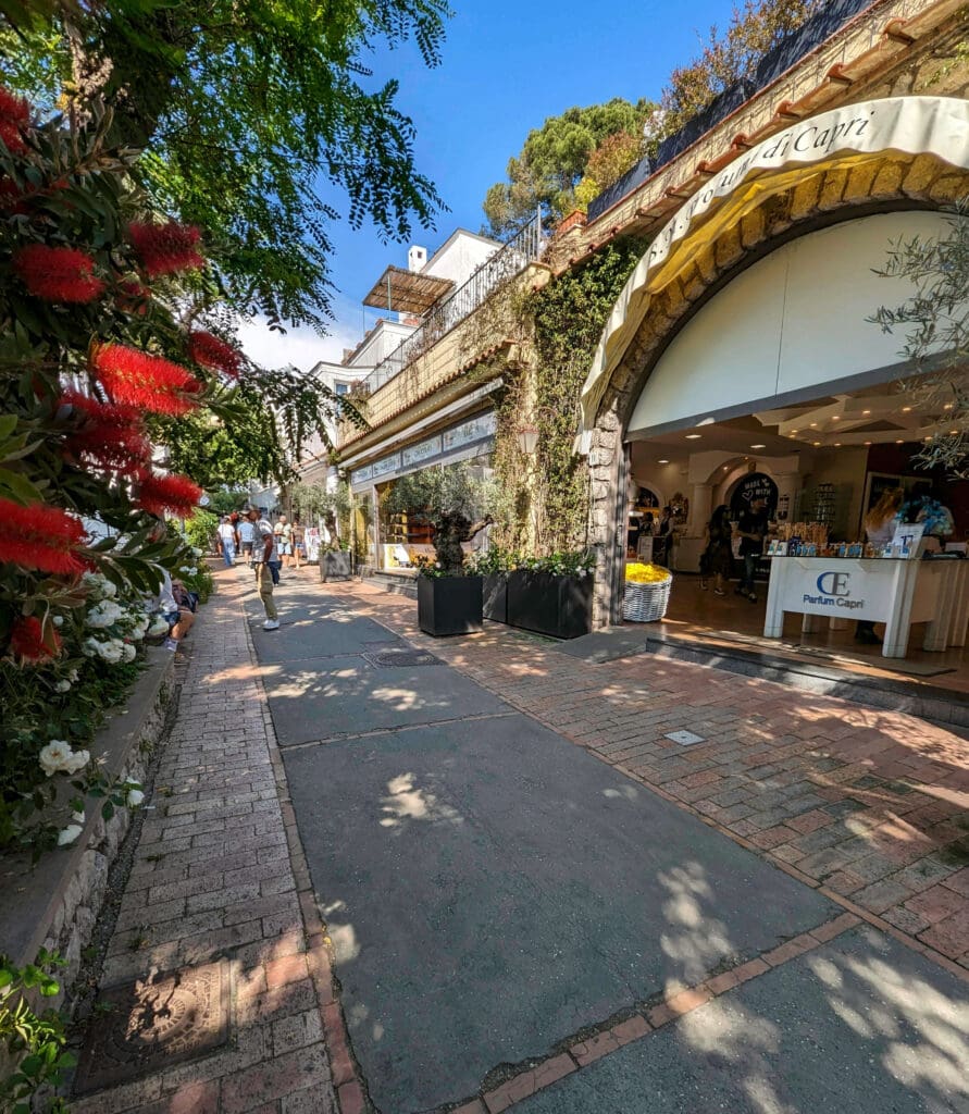 Anacapri shops lined up alongside vibrant flowers of Capri Island