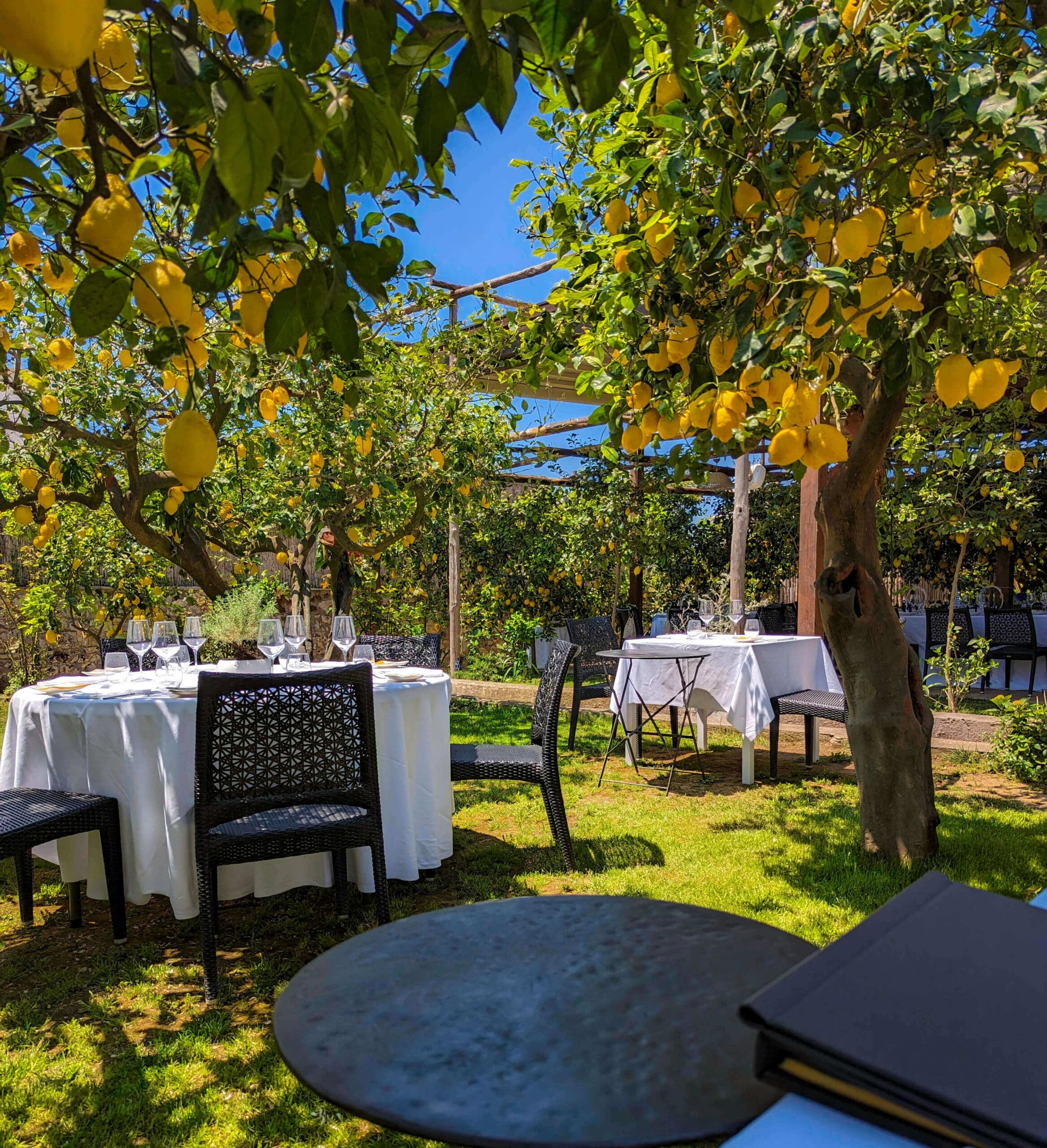 Fine dining tables sitting under numerous ripe lemons growing from dozens of lemon trees