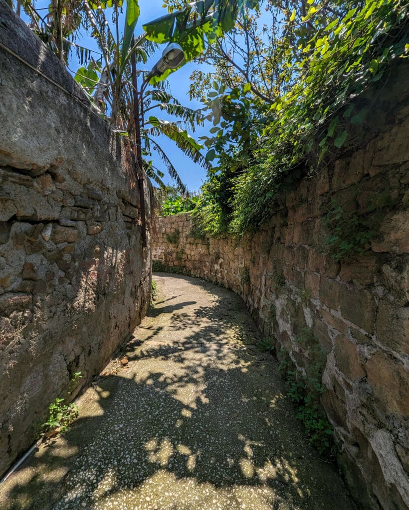 Brick walls follow a path while tropical plants cover the top as one of the many fun and paths you can find on Procida Island