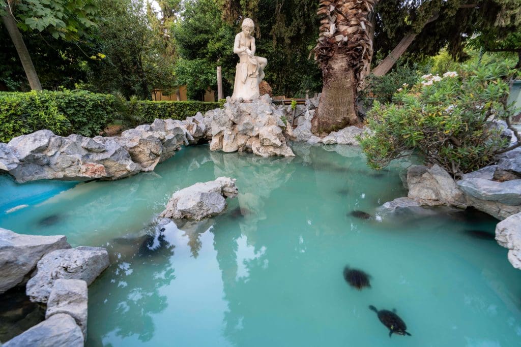 A few turtles swim in turquoise water in a fountain at Athens National Gardens.