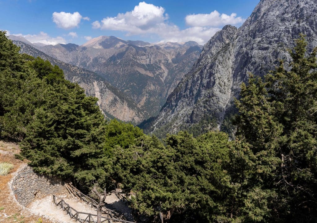 Trees stand at the entrance to the large and cavernous Samaria Gorge in Crete Island.