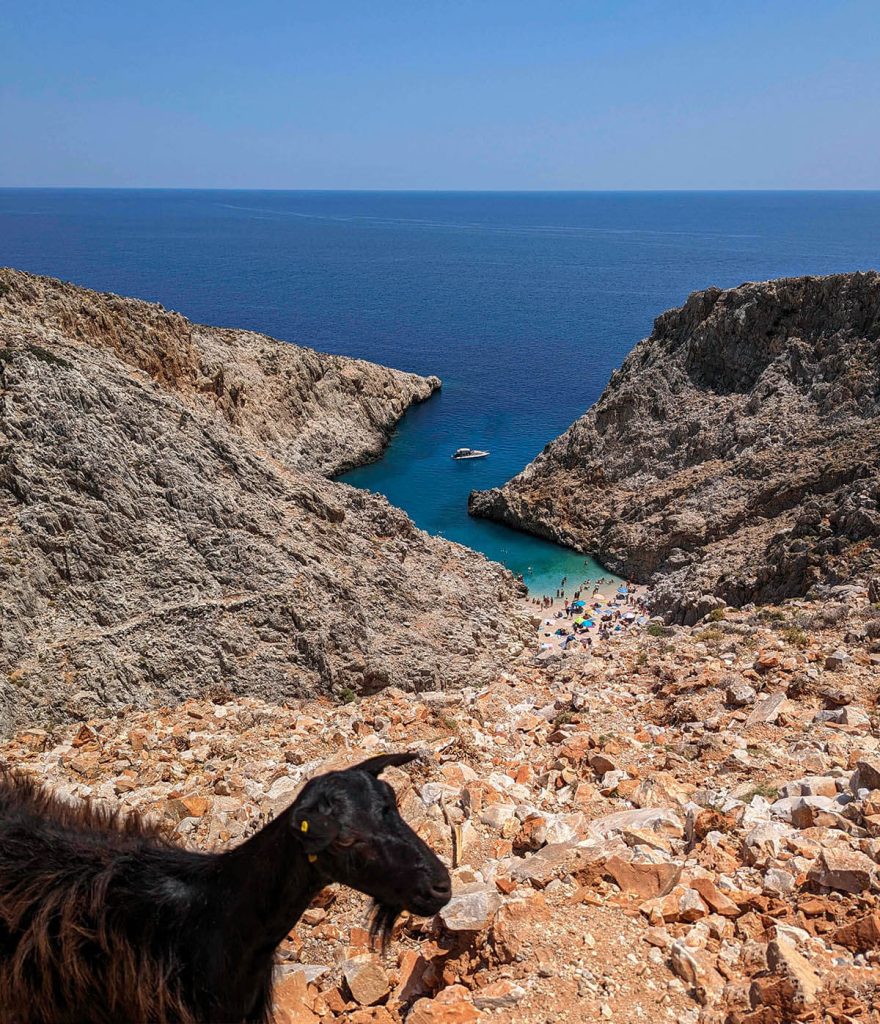 A lone goat sits atop the rocky Seitan Limania Beach, one of the more interesting and best beaches in Greece.