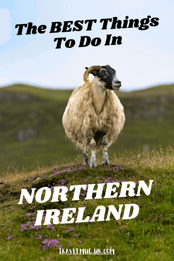 A lone sheep stands atop a flowery hill on Rathlin Island, with the title of the article "the best things to do in Northern Ireland".