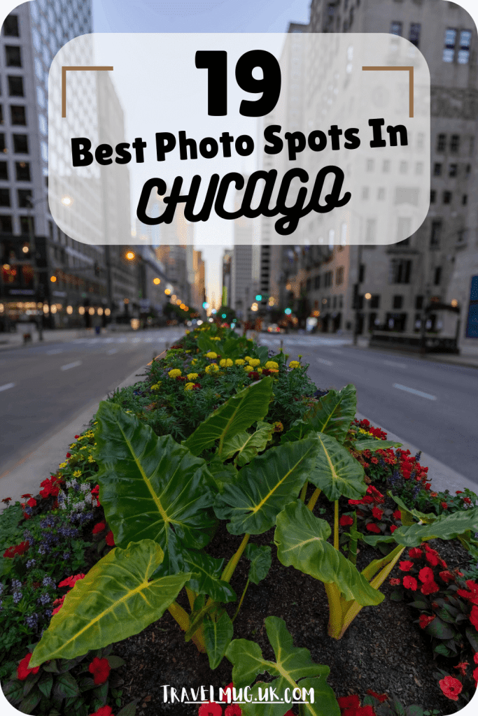 A close up shot of one of the many floral arrangements that line the Magnificent Mile in Chicago, with the title of the article "19 best photo spots in Chicago".