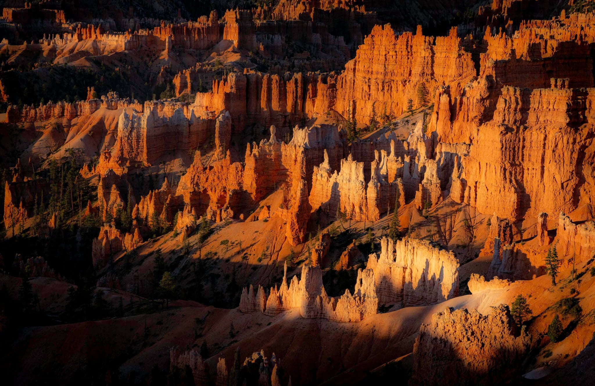 Warm sunrise sunlight casts shadows on the vibrant rocks of Bryce Canyon National Park hikes