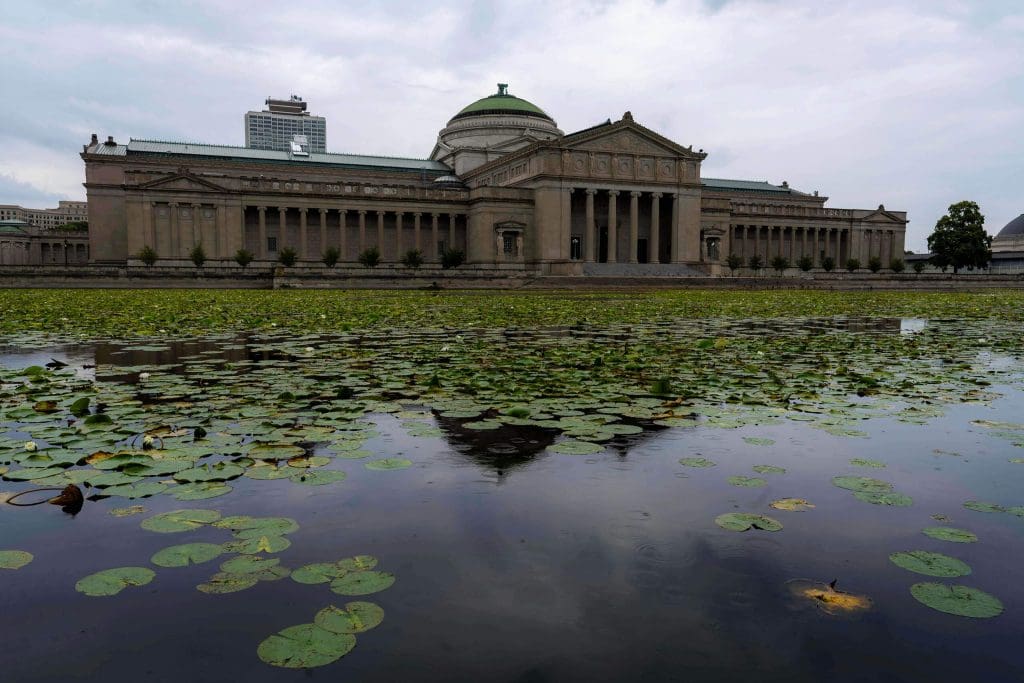 Thousands of lily pads scattered throughout the small pond behind the Museum of Science and Industry.