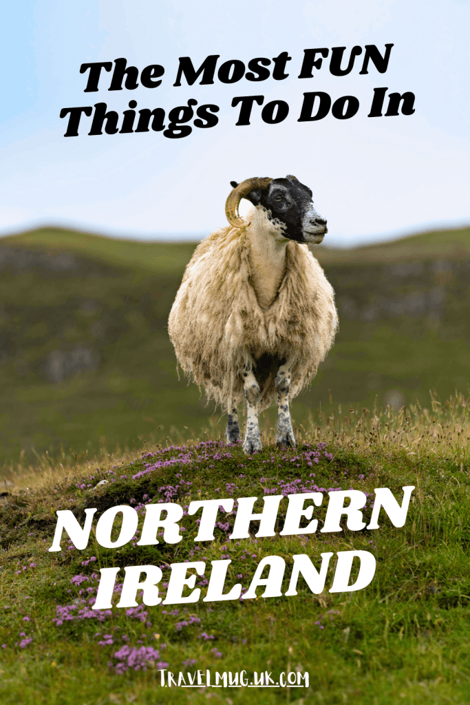 A lone sheep stands atop a flowery hill on Rathlin Island, with the title of the article "the best things to do in Northern Ireland".