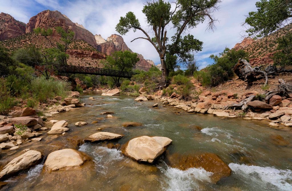 Water softly running through Zion National Park under a bridge and through the desert mountains alongside the Parus Trail.