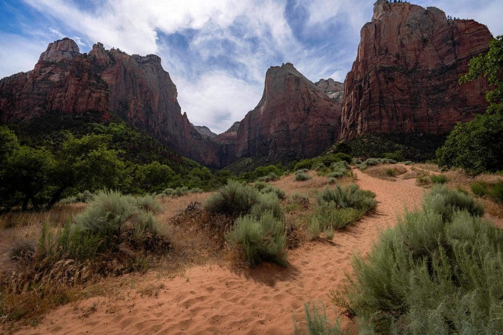 Soft sand makes up the Sand Bench Loop Trail through foliage and Zion National Park mountains.