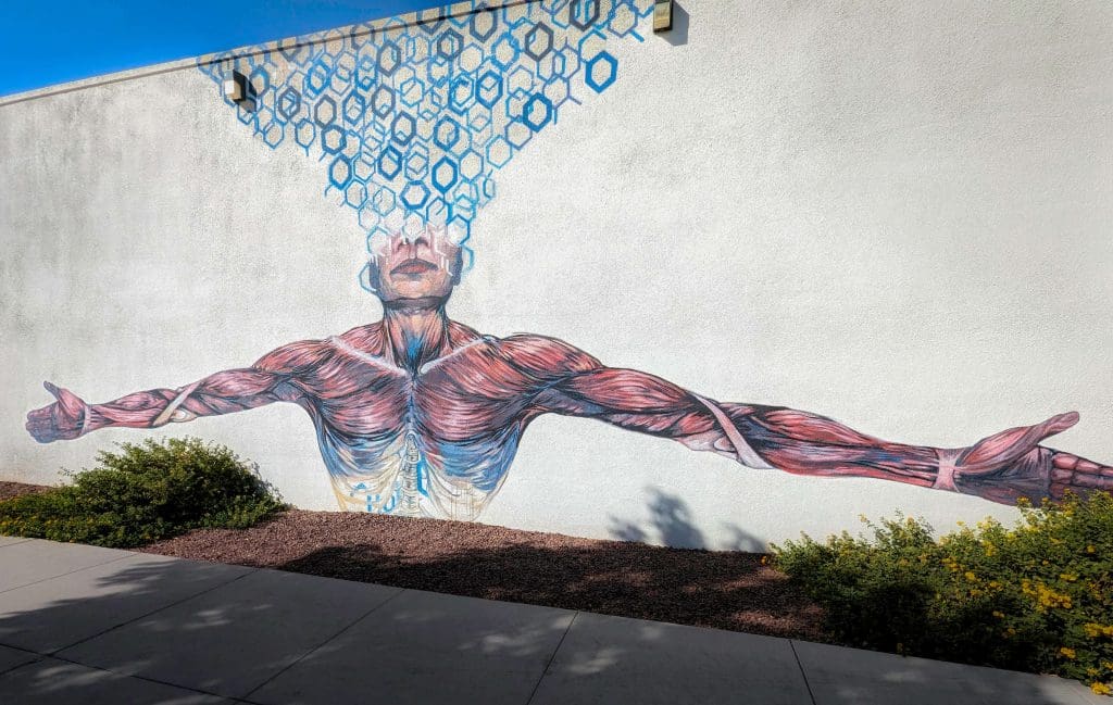 A very unique design of a person's musculature and open mind, making one of the most bizarre Phoenix murals.