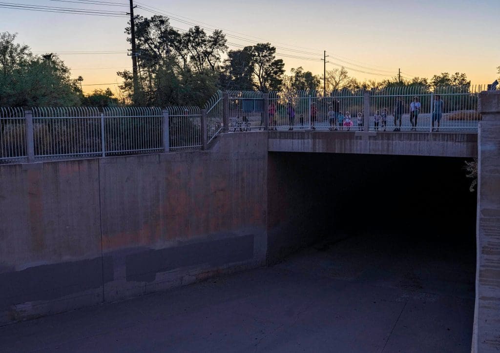 Waiting for dusk to see the flock of bats emerge from a hidden spot in the city.