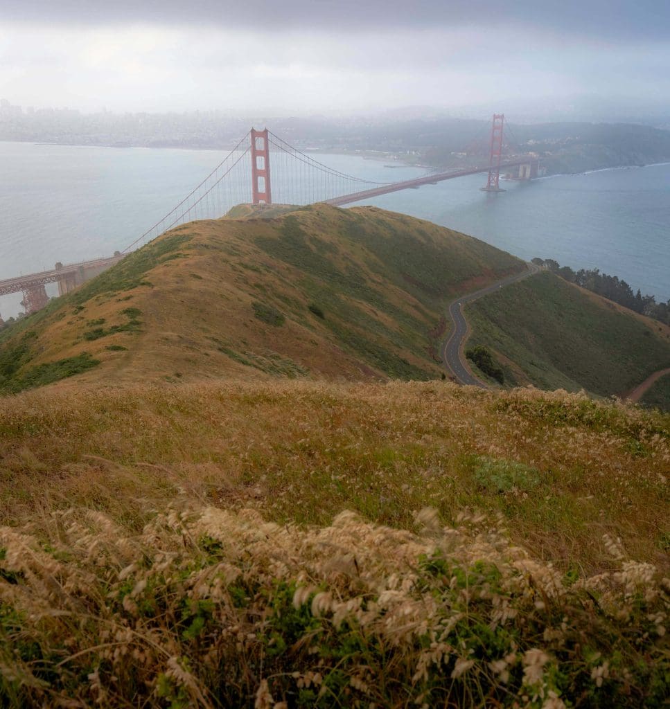 Long golden grass atop Slacker Hill with the city in the background makes this one of the best Golden Gate Bridge viewpoints.