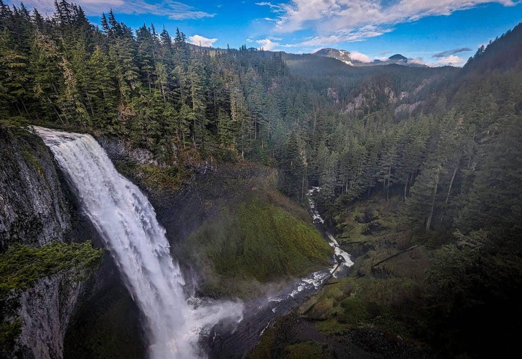 Water rushes over the cliffside and into the dense forests of Oregon.