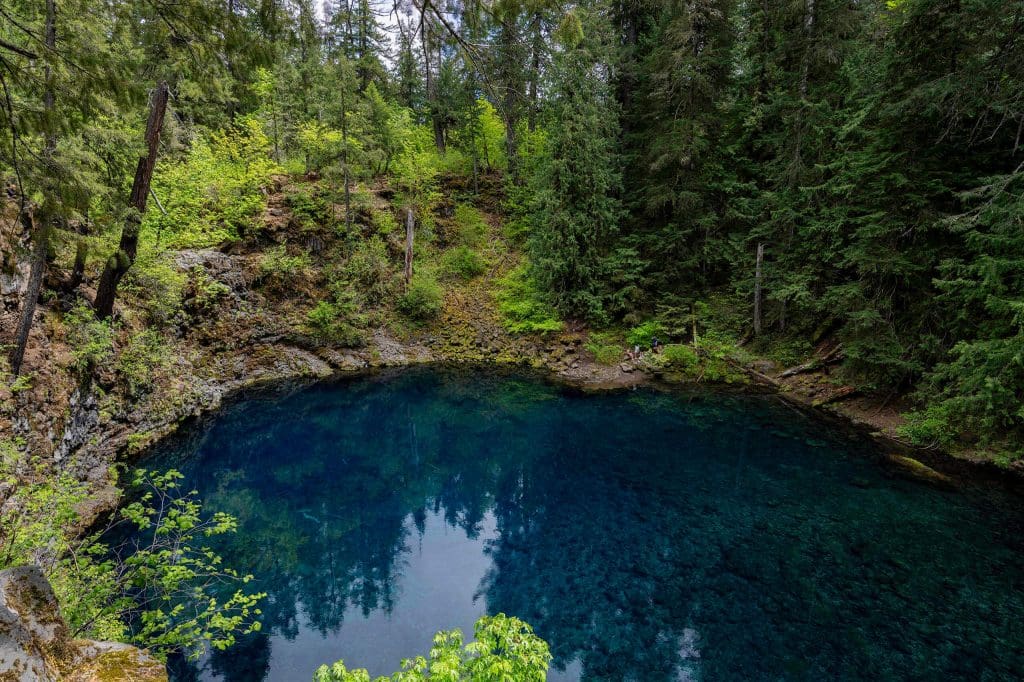 Bright blue water makes up a still pool surrounded by trees at the Tamalitch Falls Oregon hike.