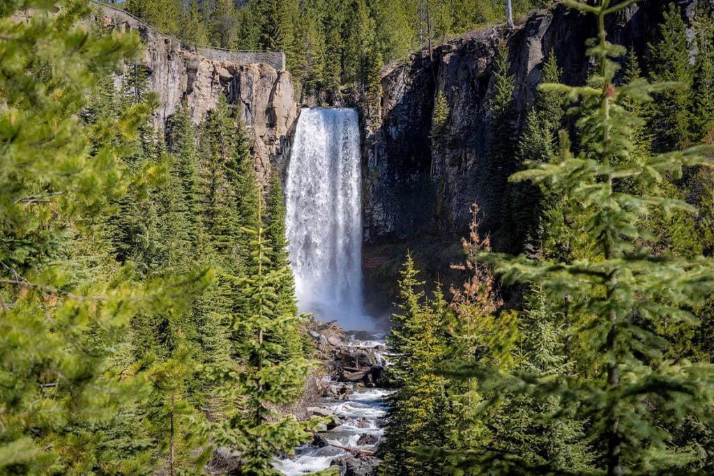 Looking onto the distant Tumalo Falls as it cuts through tall Oregon woods.