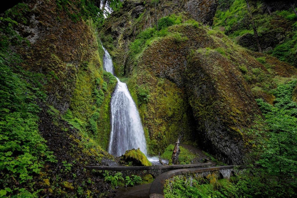 A secluded waterfall in Oregon, Wahkeena Falls a shorter waterfall surrounded by moss and green vegetation.