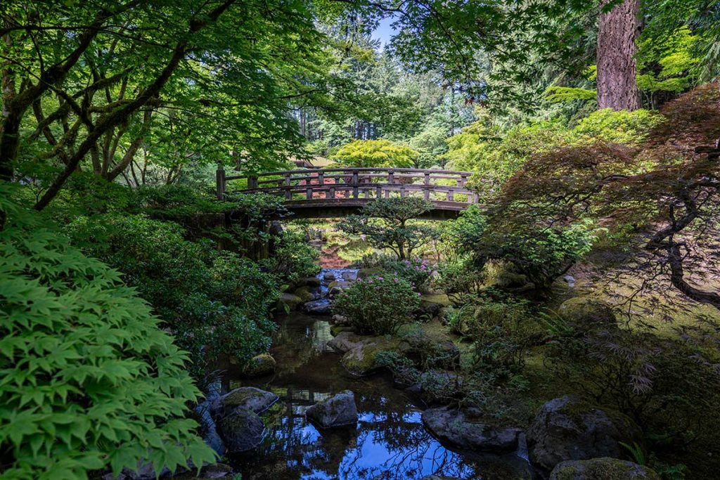 Full flowers and think greenery decorate the Portland Japanese Garden as a small bridge sits over a river.