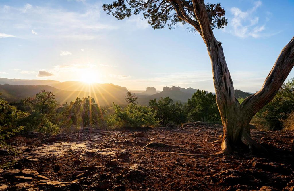 The gorgeous site of the sun rising over the Sedona desert landscape from the Lover's Knoll lookout.