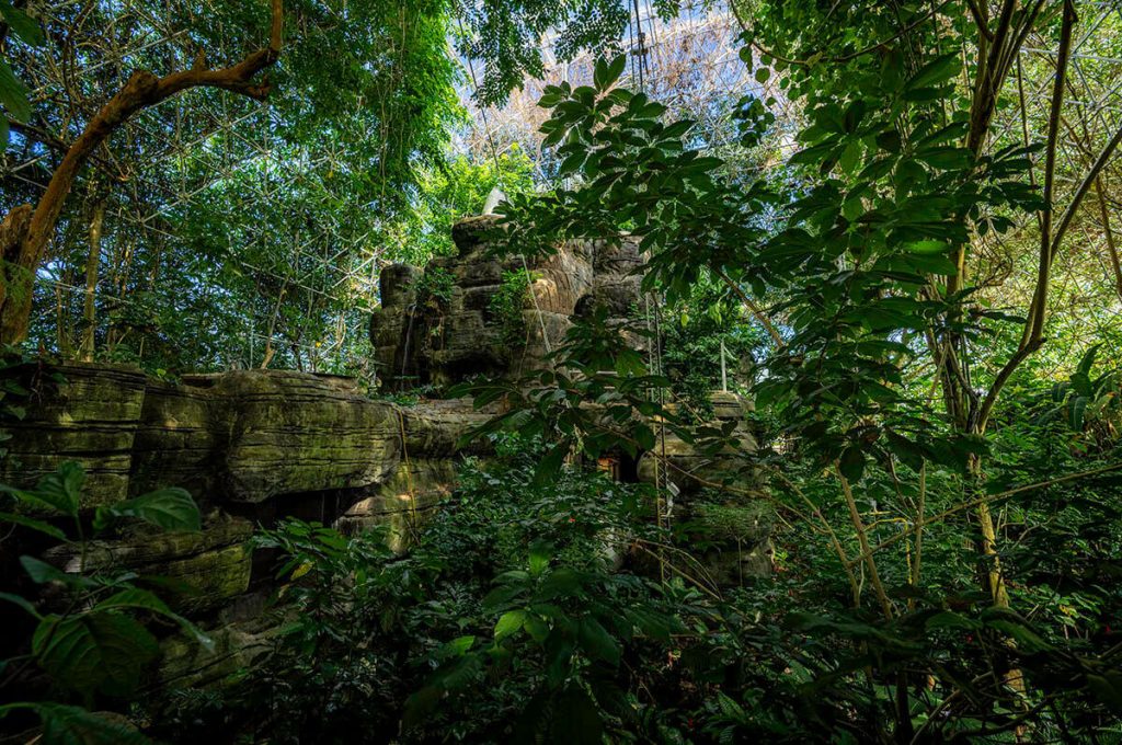 Inside the heavily lush Tropical Dome section of the Biosphere 2.