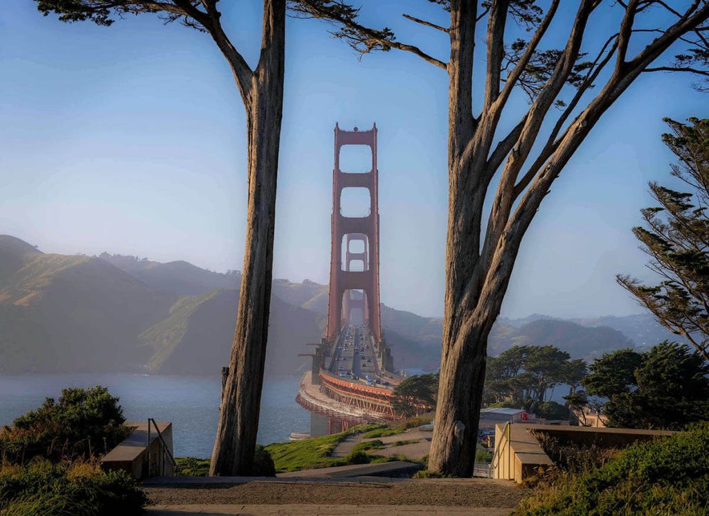 Looking onto the Golden Gate Bridge from the Golden Gate Overlook as 2 trees frame the shot.
