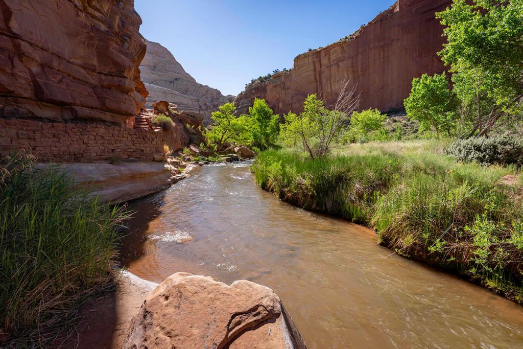 Water slowly moves by as lush plants and red rocks surround the calm river.