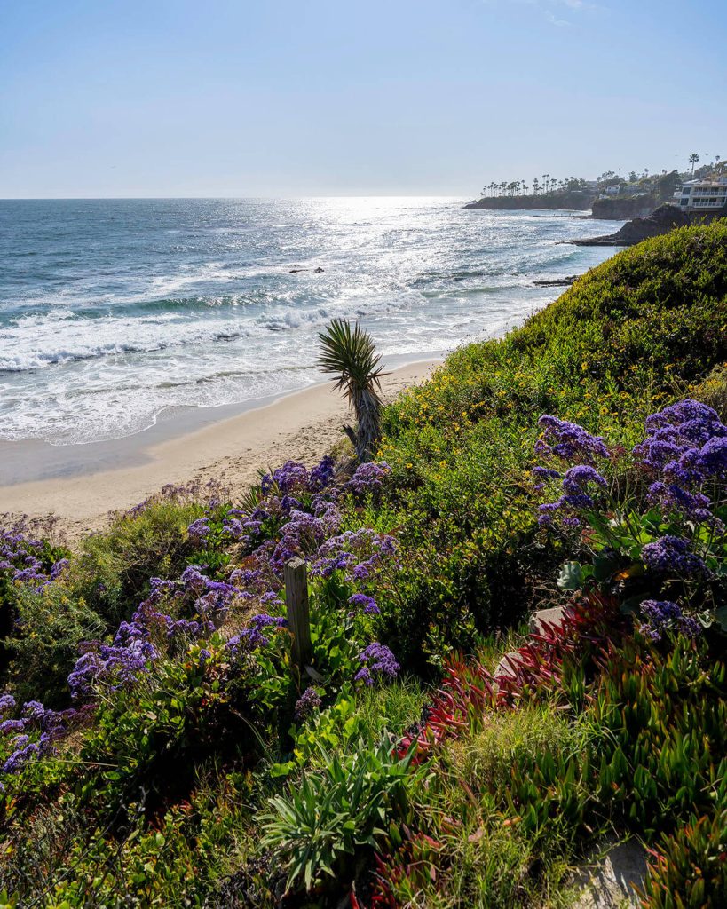 Vibrant flowers and full foliage rest in the foreground as waves lightly roll onto the sandy beach.