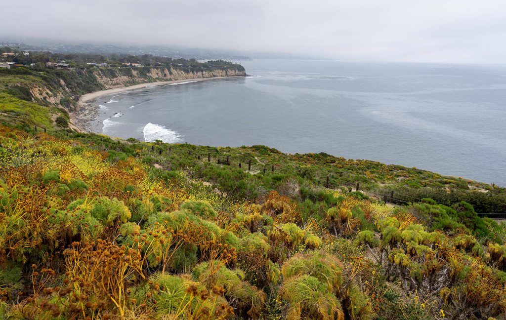 Thick shrubbery decorates the mountainside as the Pacific Ocean waves crash along the shore below.