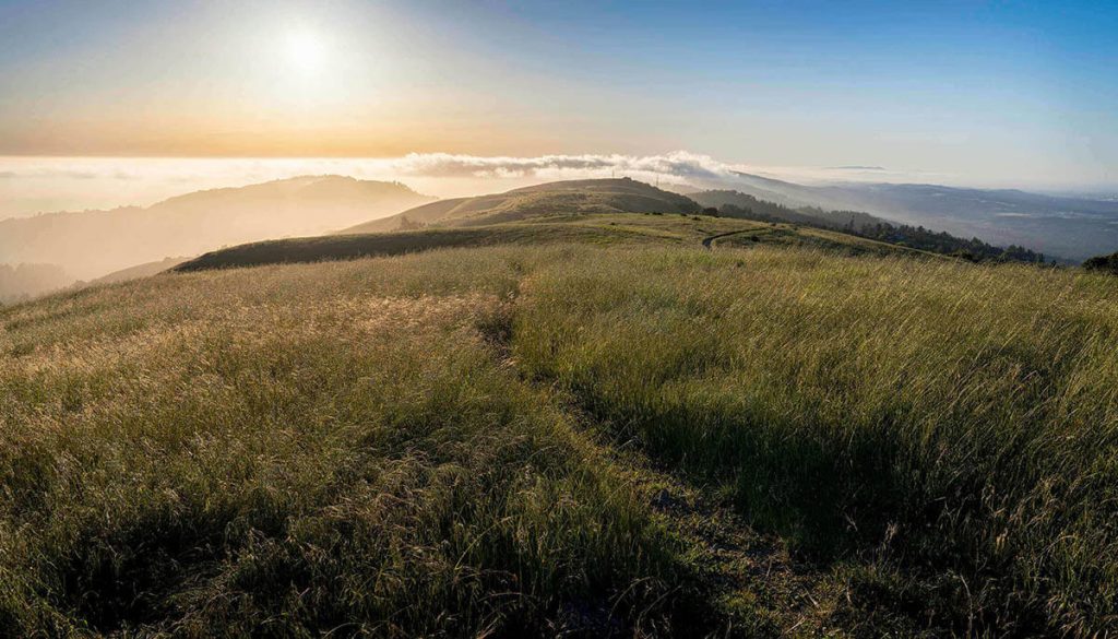 Golden light shines over the golden fields of the Russian Ridge Preserve as the sun sets over San Francisco.