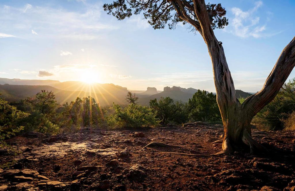 Looking over the Sedona landscape as the sun rises in the distance for a perfect Arizona picture.