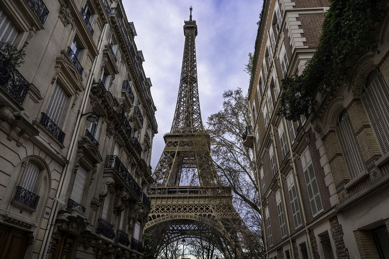 Classic Parisian architecture lines the streets while the gorgeous tower stands right between them.